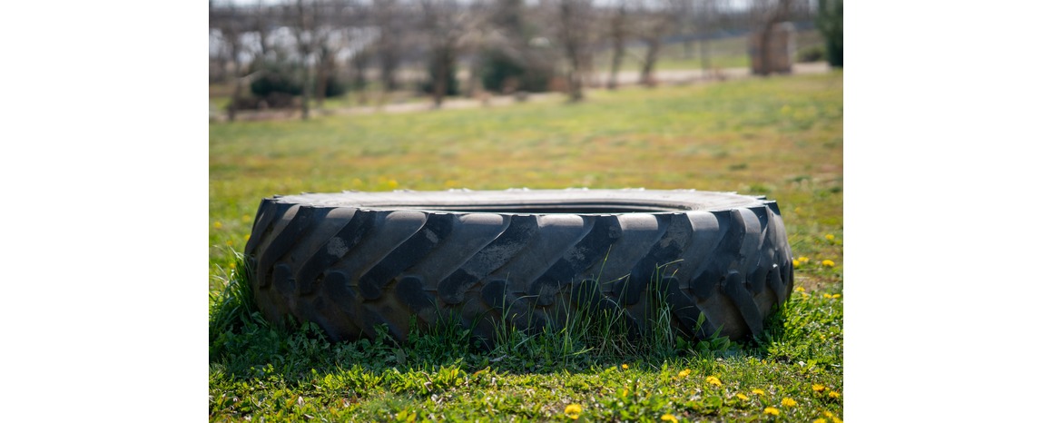 closeup-tire-field-with-yellow-flowers (1)
